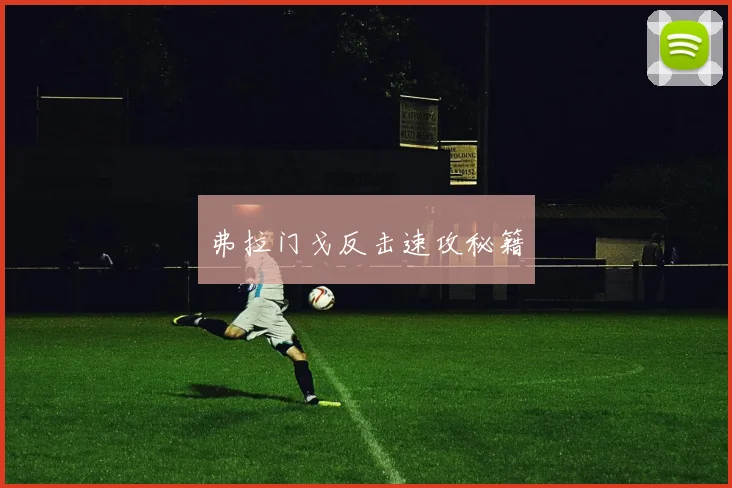 弗拉门戈反击速攻秘籍