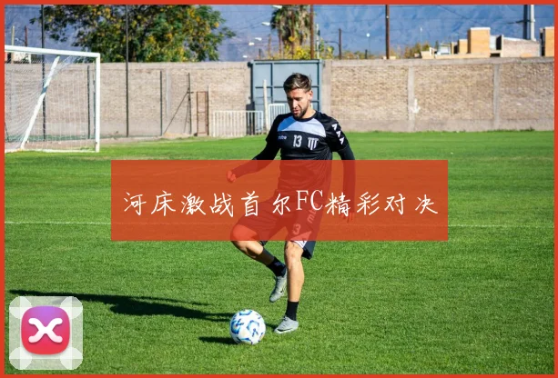 河床激战首尔FC精彩对决