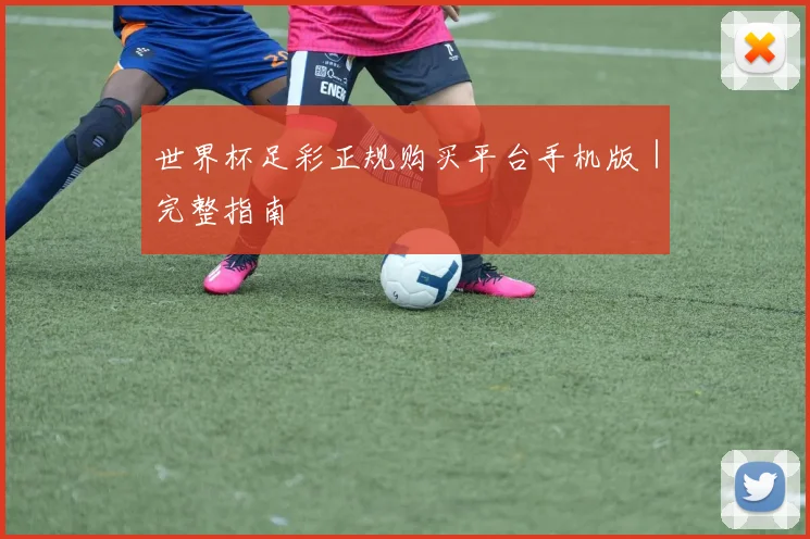 世界杯足彩正规购买平台手机版｜完整指南