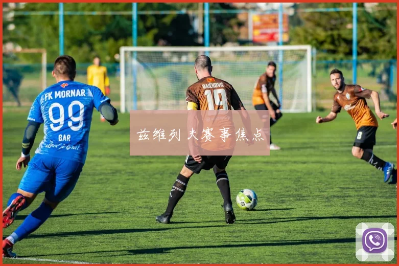 兹维列夫赛事焦点