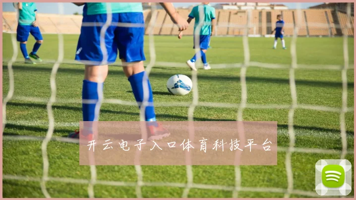 开云电子入口体育科技平台