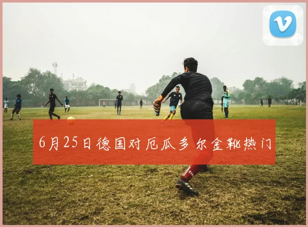 6月25日德国对厄瓜多尔金靴热门