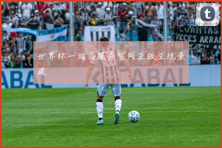 世界杯一站式服务官网正版正规渠道