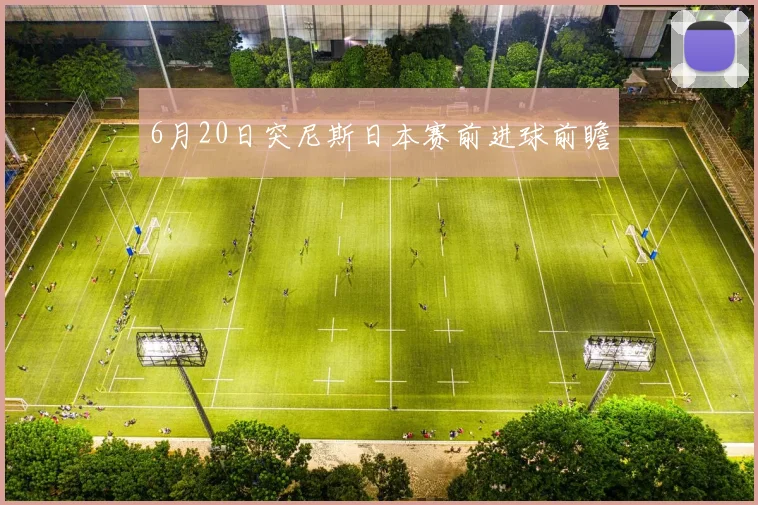 6月20日突尼斯日本赛前进球前瞻